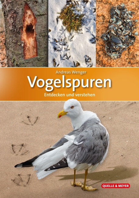 Vogelspuren - Andreas Wenger