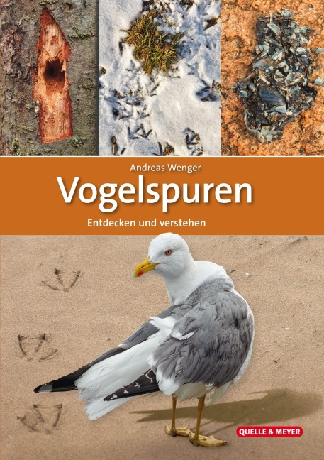 Vogelspuren - Andreas Wenger