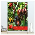 Chilis - Höllisch scharfe Früchtchen (hochwertiger Premium Wandkalender 2024 DIN A2 hoch), Kunstdruck in Hochglanz - Martina Cross