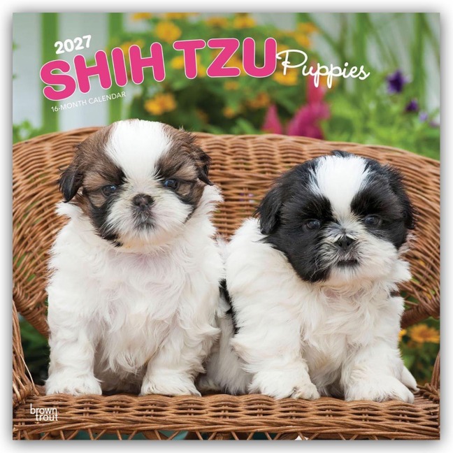 Shih Tzu Puppies - Shih Tzu Welpen 2027 - 16-Monatskalender - Browntrout Publishers