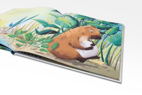 InsideView 3