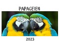 Papageien - Bibi Hübsch