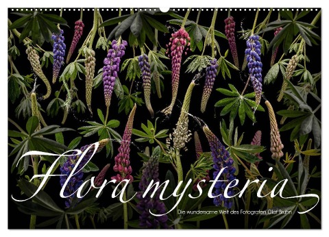 Flora mysteria - Die wundersame Welt des Fotografen Olaf Bruhn (Wandkalender 2024 DIN A2 quer), CALVENDO Monatskalender - Olaf Bruhn