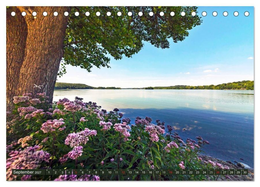 InsideView 14