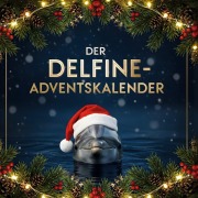 Cover-Bild zum Titel 'Der Delfine-Adventskalender' von 'Lina Werner'