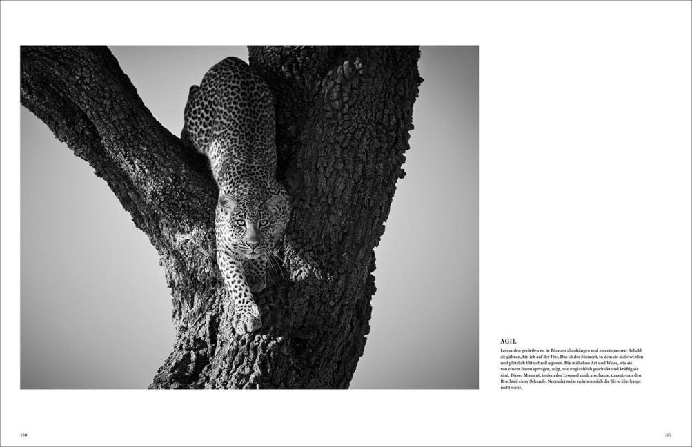 InsideView 11