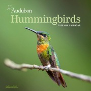 Cover-Bild zum Titel 'Audubon Hummingbirds Mini Wall Calendar 2026' von 'Workman Calendars'