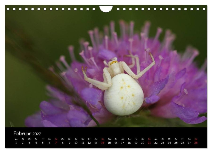 InsideView 7