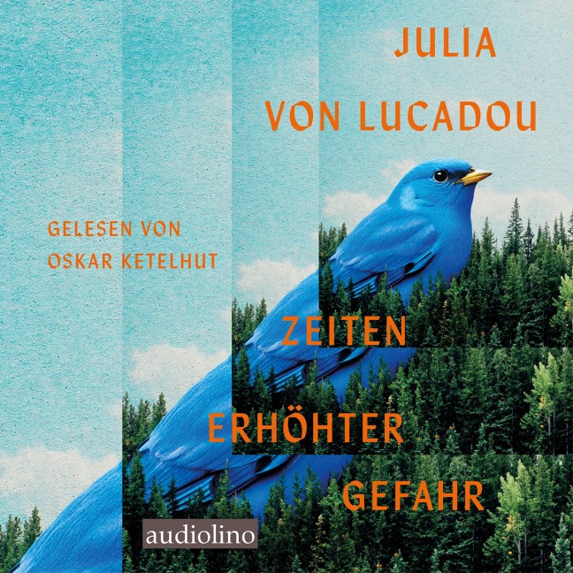 Zeiten erhöhter Gefahr - Julia von Lucadou