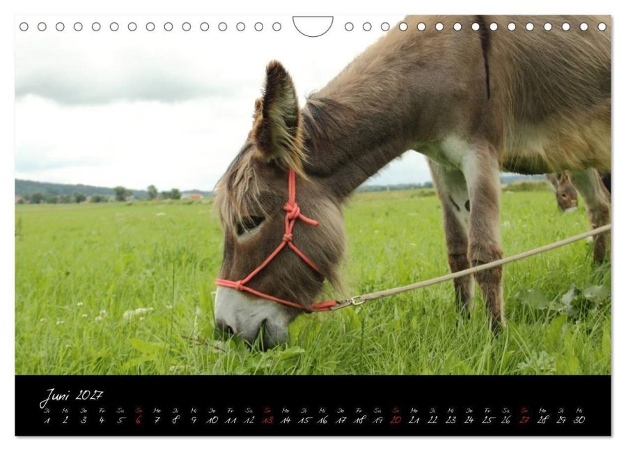 InsideView 11