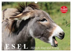 Cover-Bild zum Titel 'Esel. Hübsch, klug und fleißig (Wandkalender 2026 DIN A3 quer), CALVENDO Monatskalender' von 'Elisabeth Stanzer'