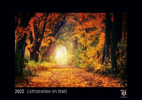 Lichtstrahlen im Wald 2022 - Black Edition - Timokrates Kalender, Wandkalender, Bildkalender - DIN A4 (ca. 30 x 21 cm) - 