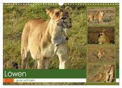 Cover-Bild zum Titel 'Löwen - gross und klein (Wandkalender 2026 DIN A3 quer), CALVENDO Monatskalender' von 'Susan Michel'