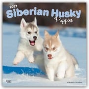 Cover-Bild zum Titel 'Siberian Husky Puppies - Siberian Husky Welpen 2027 - 16-Monatskalender' von 'Browntrout Publishers'