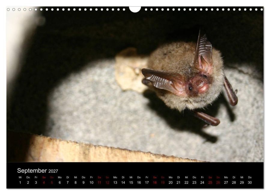 InsideView 14