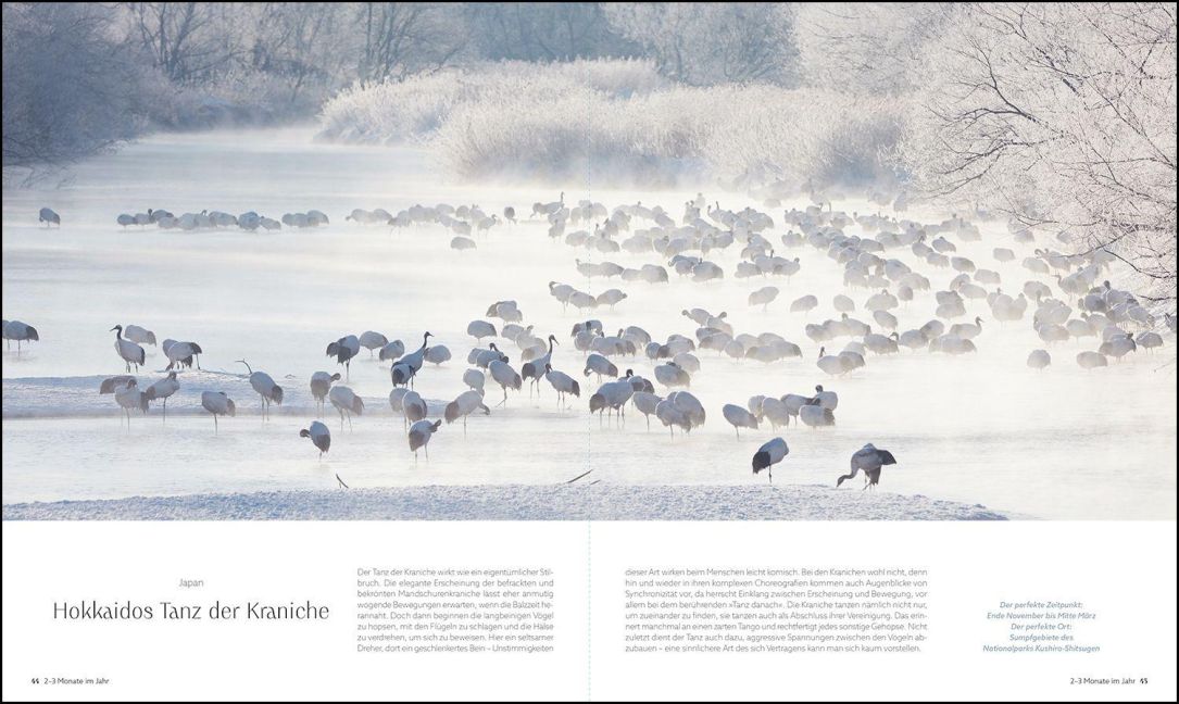 InsideView 11