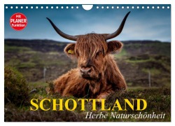 Cover-Bild zum Titel 'Schottland. Herbe Naturschönheit (Wandkalender 2026 DIN A4 quer), CALVENDO Monatskalender' von 'Elisabeth Stanzer'