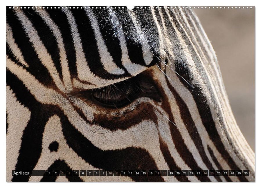 InsideView 8