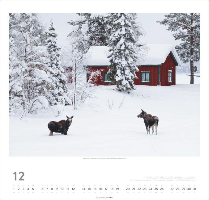 InsideView 12
