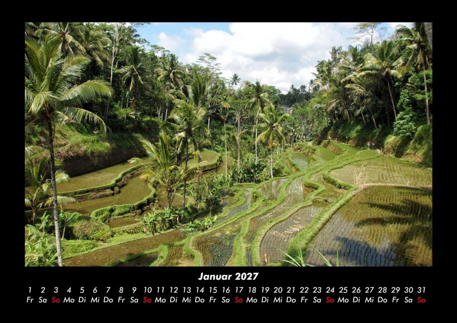 InsideView 5