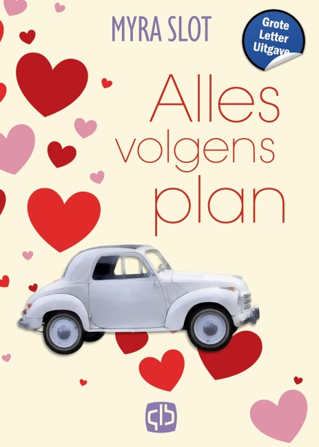 Alles volgens plan - Myra Slot