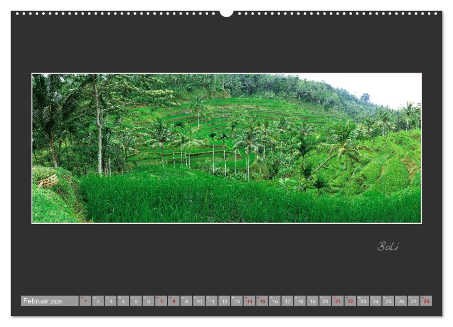 InsideView 6