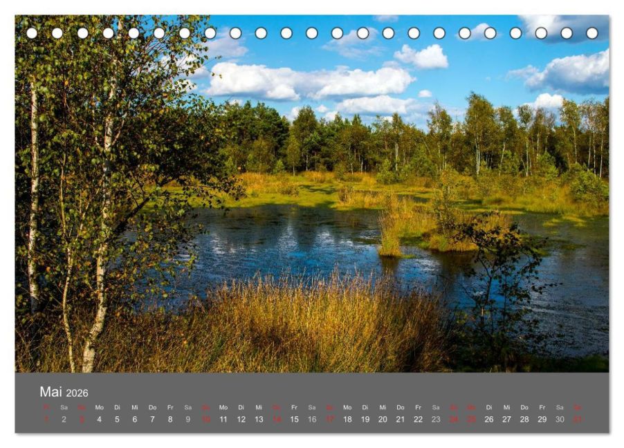 InsideView 10