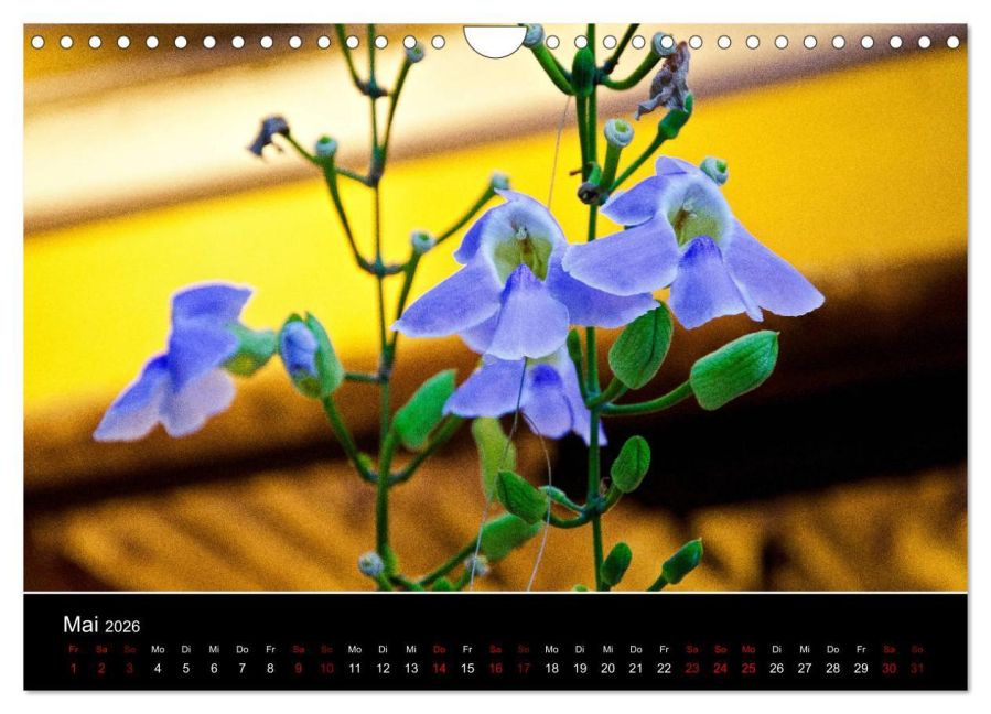 InsideView 10
