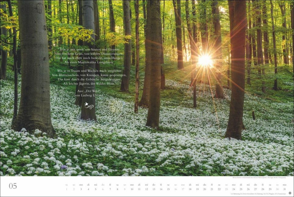 InsideView 5