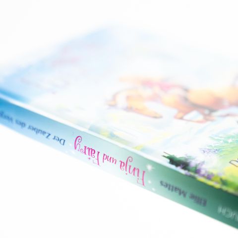 InsideView 2