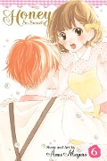 Honey So Sweet, Vol. 6 - Amu Meguro