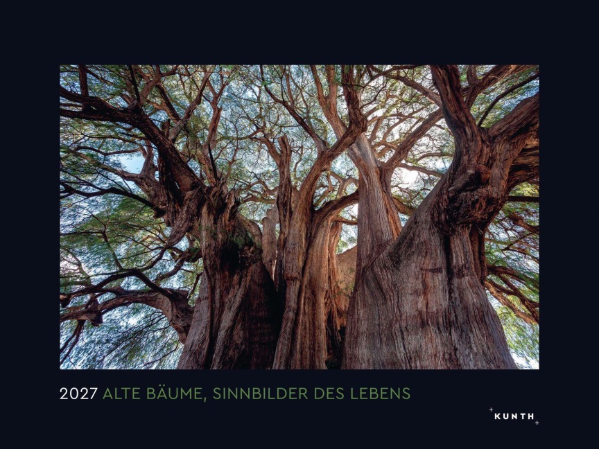 Alte Bäume, Sinnbilder des Lebens - KUNTH Wandkalender 2027 - 