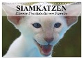 Siamkatzen - Kleiner Frechdachs mit Familie (Wandkalender 2024 DIN A4 quer), CALVENDO Monatskalender - Elisabeth Stanzer
