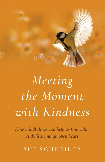 Meeting the Moment with Kindness - Sue Schneider