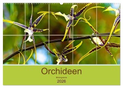 Orchideen Bildergalerie (Wandkalender 2026 DIN A2 quer), CALVENDO Monatskalender - Nina Schwarze