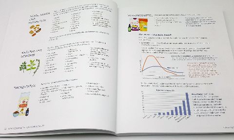 InsideView 4