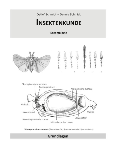 Insektenkunde - Detlef Schmidt