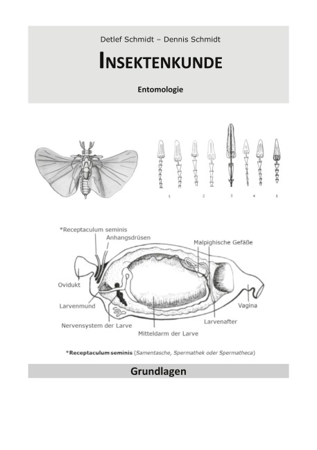Insektenkunde - Detlef Schmidt