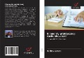 Cover-Bild zum Titel 'Elementy praktycznej rachunkowo¿ci' von 'Godfrey Wasara'