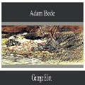 Cover-Bild zum Titel 'Adam Bede' von 'George Eliot'