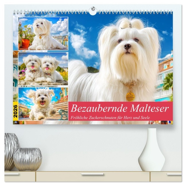 Bezaubernde Malteser. Fröhliche Zuckerschnuten für Herz und Seele (hochwertiger Premium Wandkalender 2026 DIN A2 quer), Kunstdruck in Hochglanz - Rose Hurley