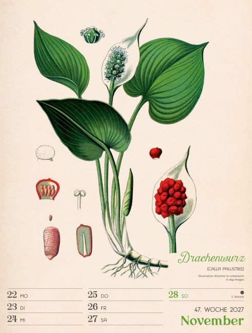InsideView 51