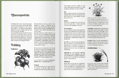 InsideView 11