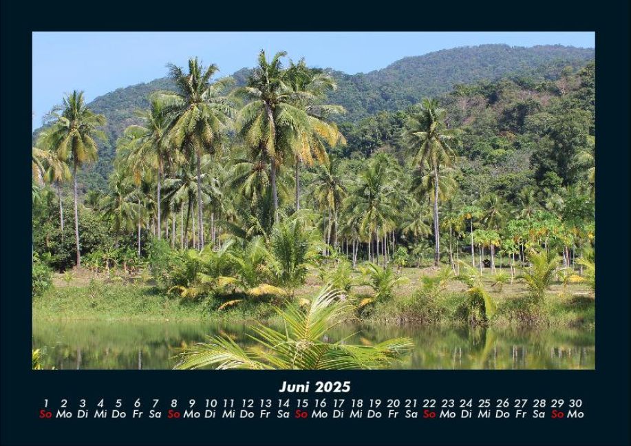 InsideView 10