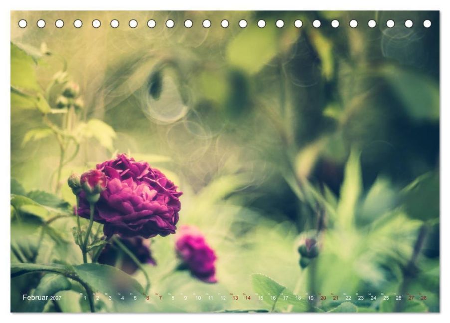 InsideView 7
