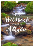 Cover-Bild zum Titel 'Wo der Wildbach rauscht im Allgäu (Wandkalender 2026 DIN A4 hoch), CALVENDO Monatskalender' von 'Reinhold Ratzer'
