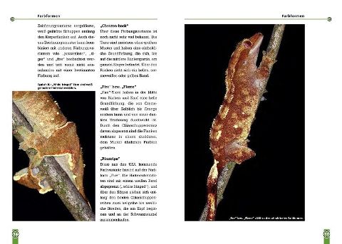 InsideView 2