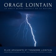 Pluie apaisante et tonnerre lointain ¿ Enregistrement de sons de la nature ¿ Pour la méditation, la détente et le sommeil ¿ Le bruit blanc parfait de la nature - Laurence Goldman