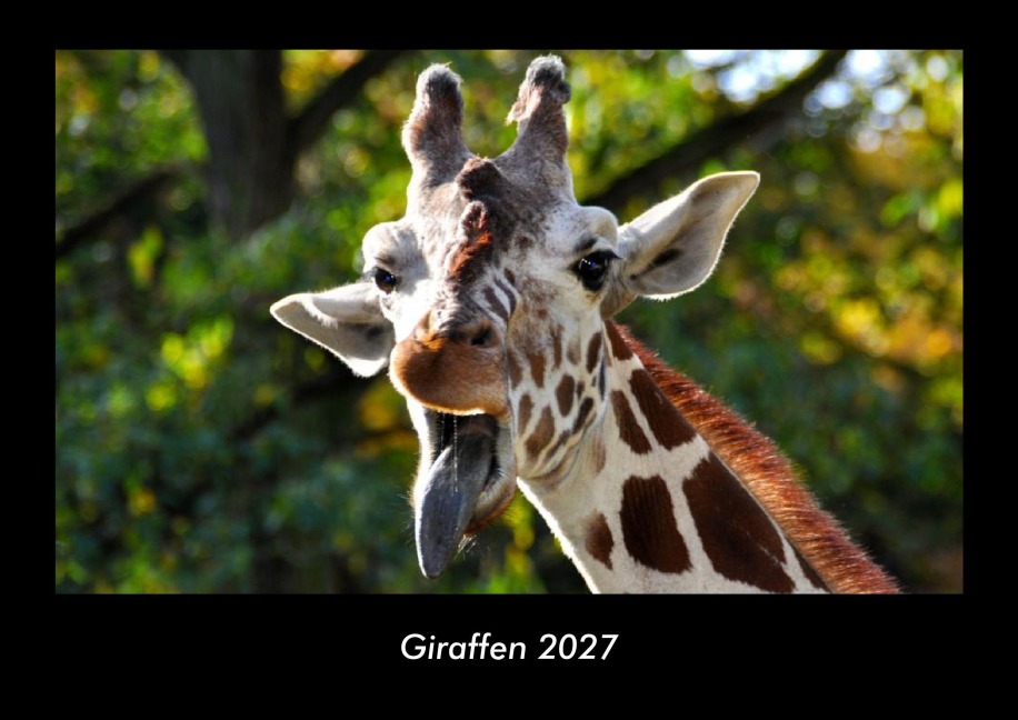 Giraffen 2027 Fotokalender DIN A3 - Tobias Becker