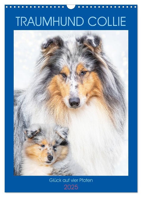 Traumhund Collie - Glück auf vier Pfoten (Wandkalender 2025 DIN A3 hoch), CALVENDO Monatskalender - Sigrid Starick